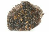 Polished Sericho Pallasite Meteorite (g) - Kenya #232274-3